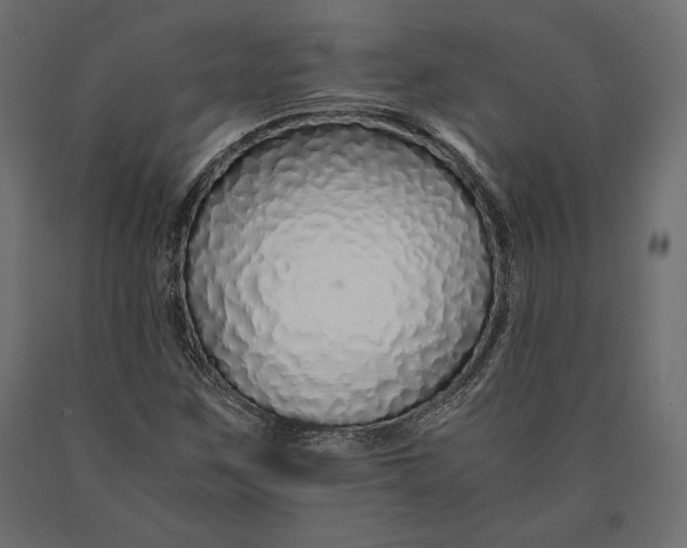 X0000090451259200708031209