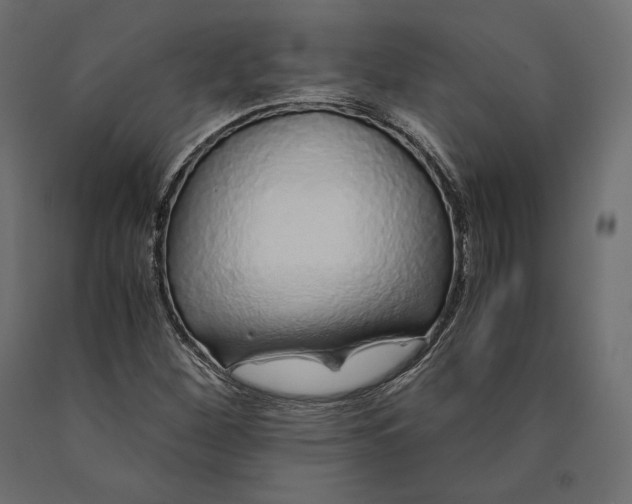 X0000090451260200708031209