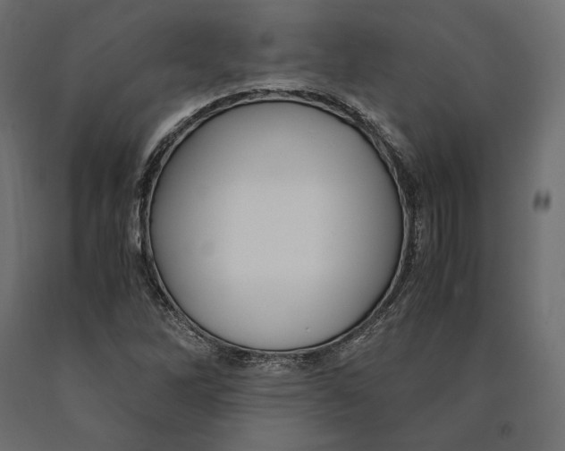 X0000090451262200708031209