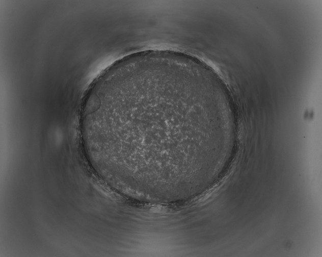 X0000090451263200708031209