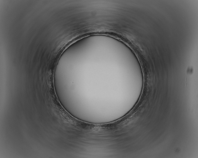 X0000090451265200708031209