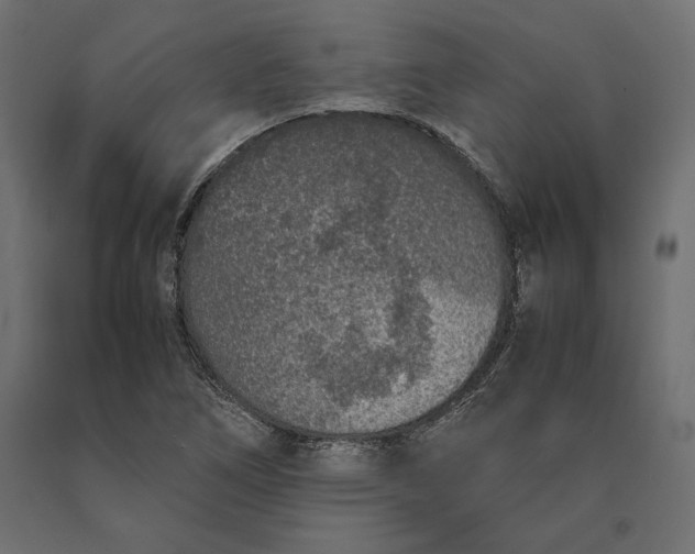 X0000090451266200708031209