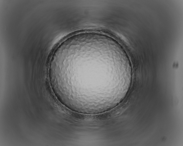 X0000090451267200708031209