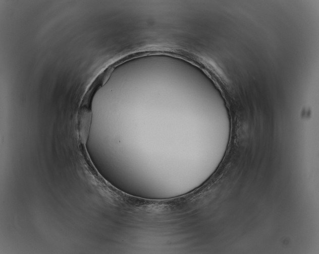 X0000090451268200708031209