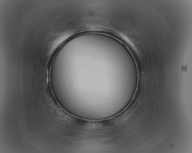 X0000090451269200708031209