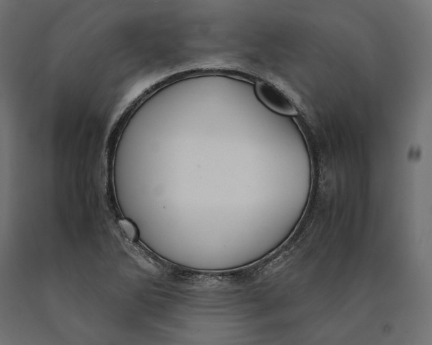 X0000090451270200708031209