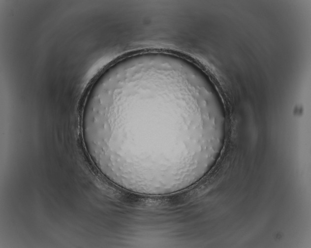 X0000090451271200708031209