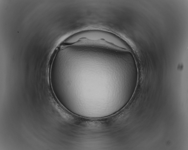 X0000090451272200708031209