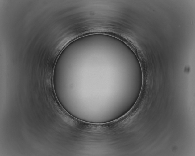 X0000090451273200708031209