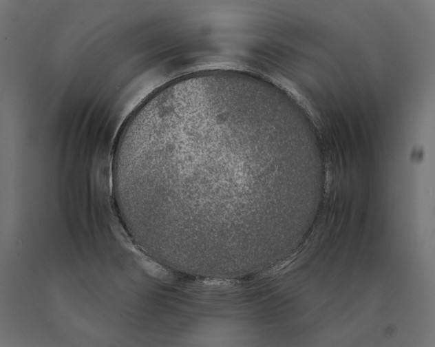 X0000090451274200708031209