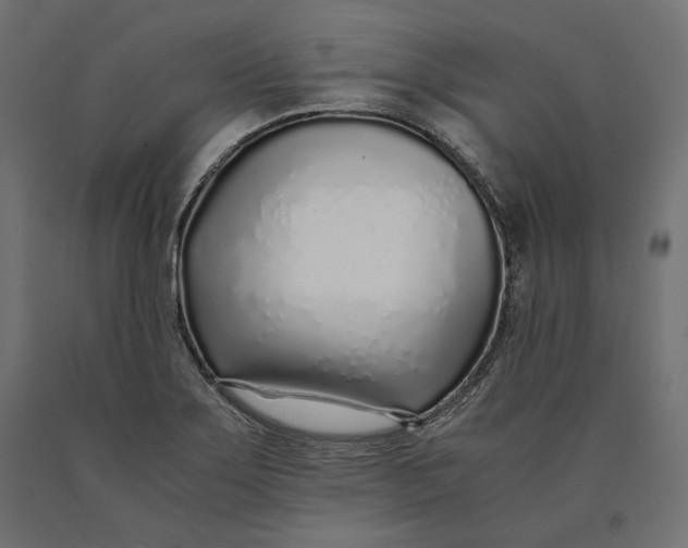 X0000090451275200708031209