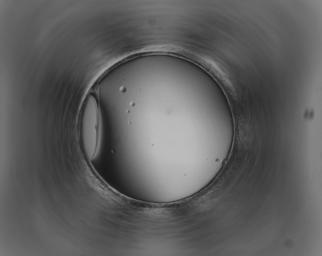 X0000090451276200708031209