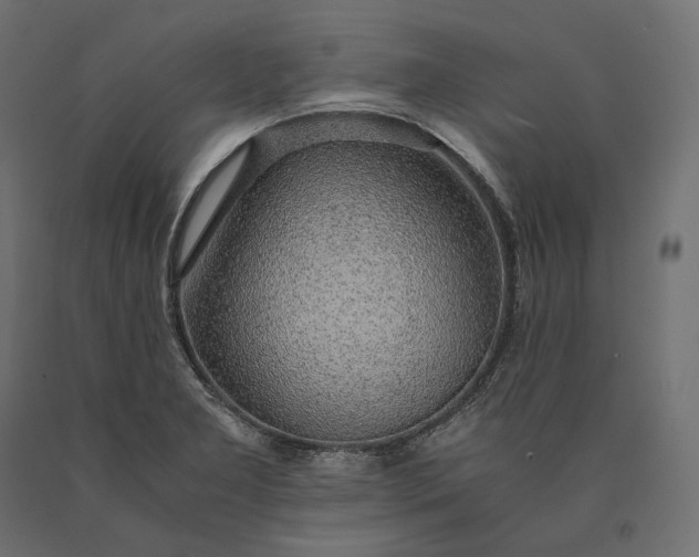 X0000090451277200708031209