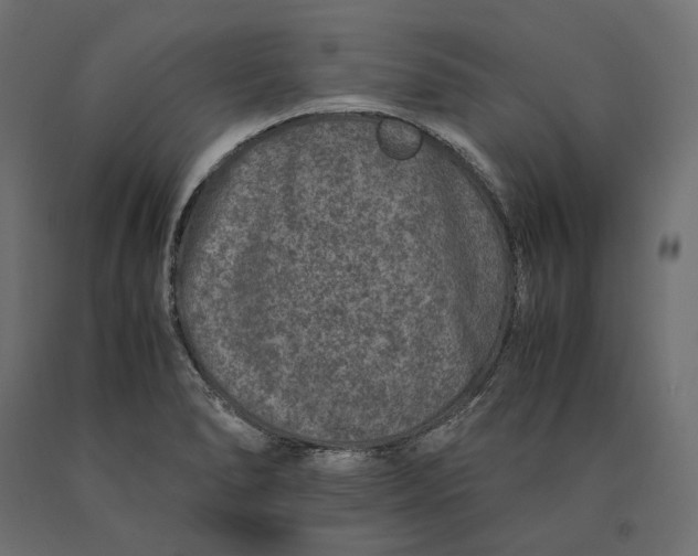 X0000090451278200708031209