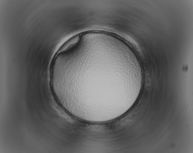 X0000090451280200708031208