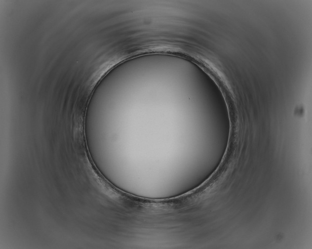 X0000090451281200708031208