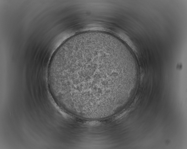 X0000090451282200708031208