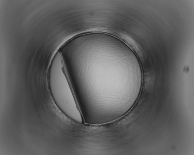 X0000090451284200708031208