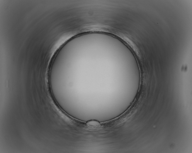 X0000090451285200708031208