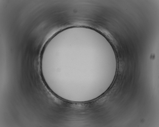 X0000090451286200708031208