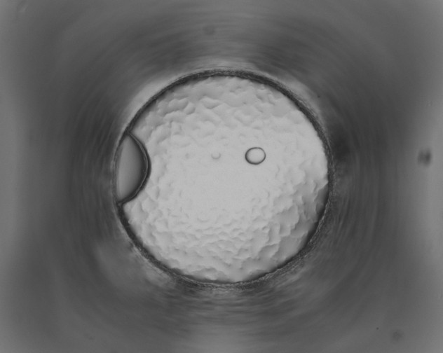 X0000090451287200708031208