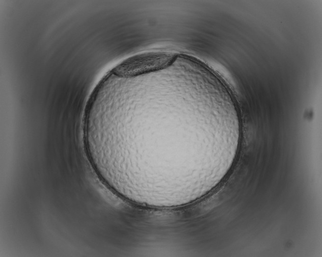 X0000090451288200708031208