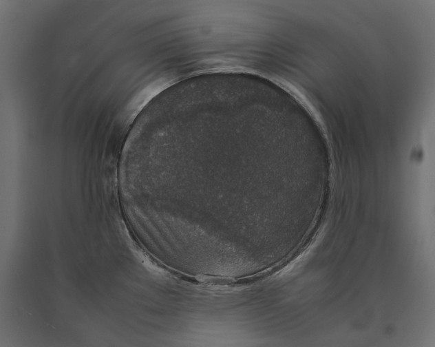 X0000090451289200708031208