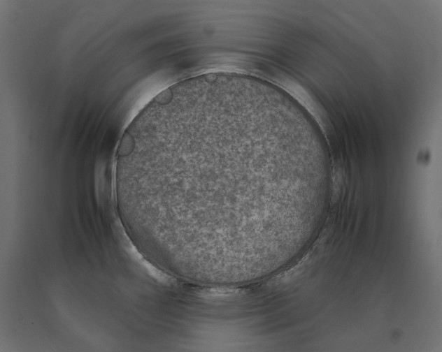 X0000090451290200708031208