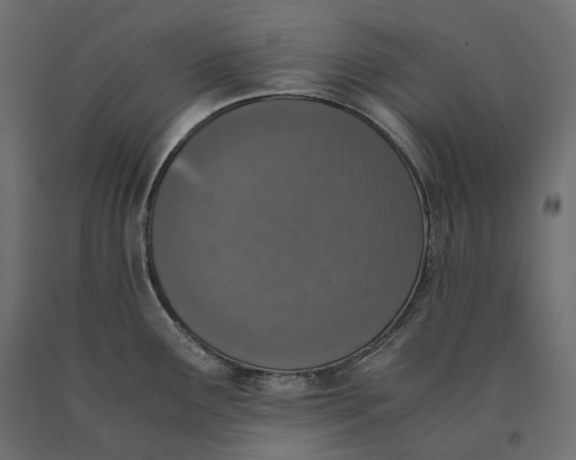 X0000090451291200708031208