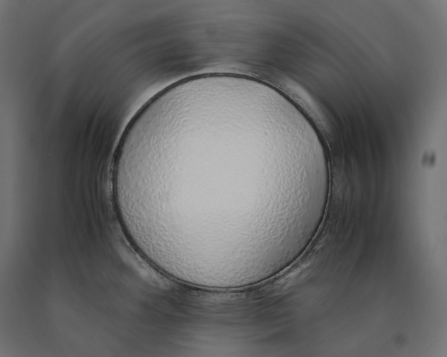 X0000090451292200708031208