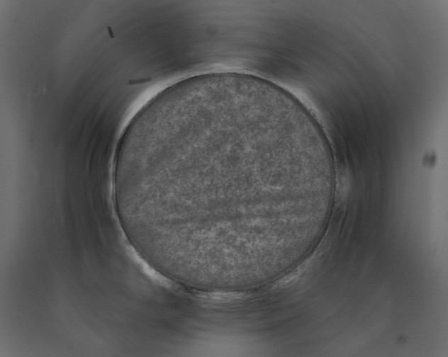 X0000090451294200708031208