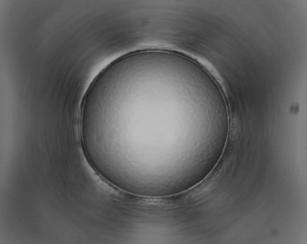 X0000090451295200708031208