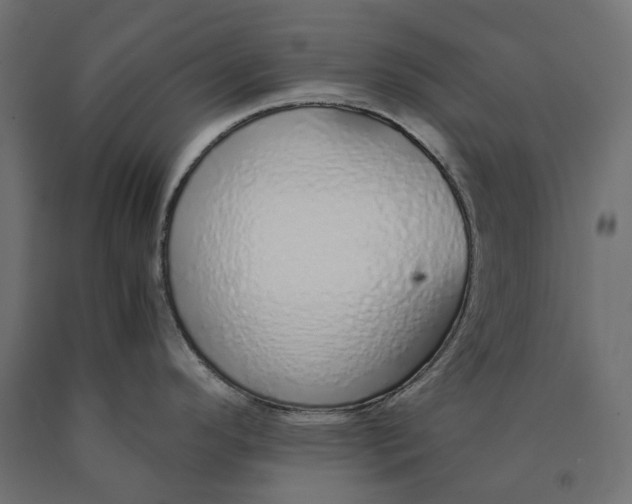 X0000090451296200708031208