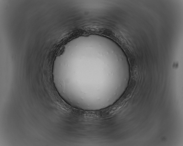 X0000090451297200708031207