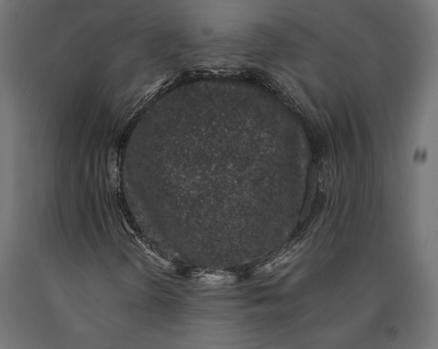 X0000090451298200708031207