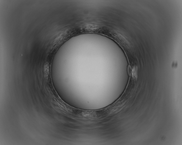 X0000090451299200708031207