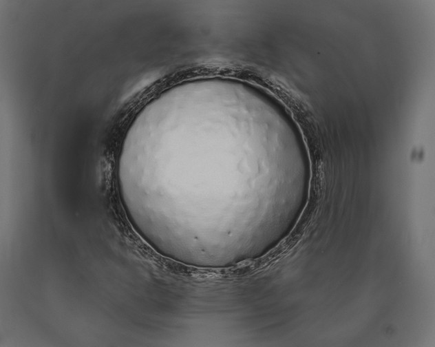 X0000090451302200708031208