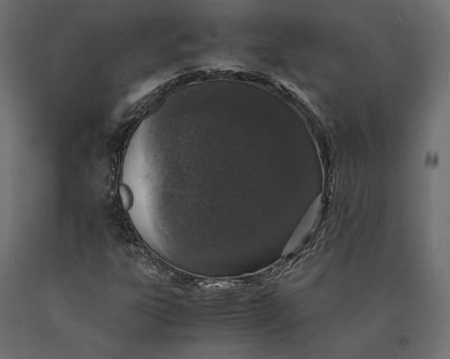 X0000090451303200708031208