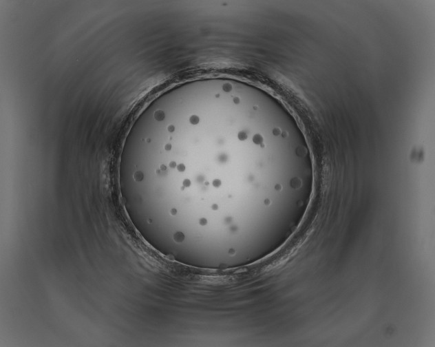 X0000090451305200708031208