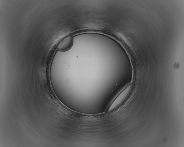 X0000090451307200708031208