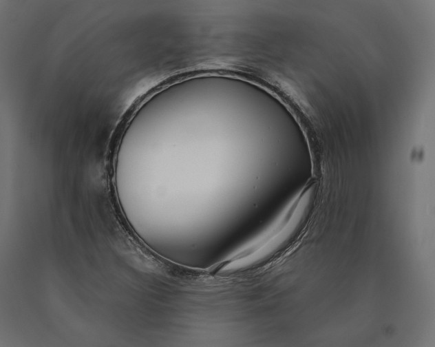 X0000090451308200708031208