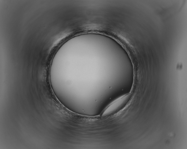 X0000090451309200708031208