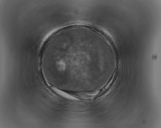 X0000090451310200708031208