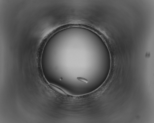 X0000090451311200708031208