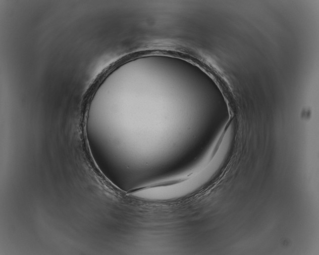 X0000090451312200708031208