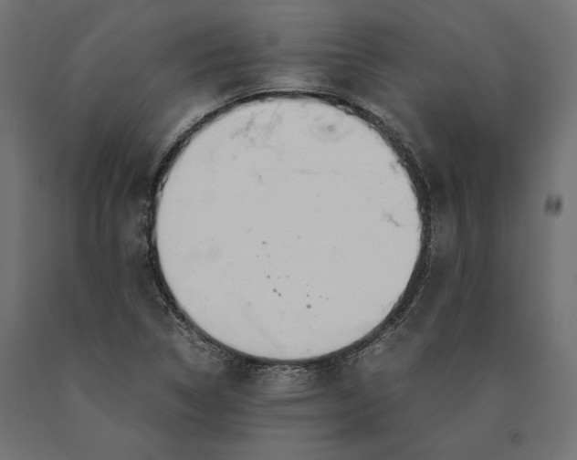 X0000090451314200708031208