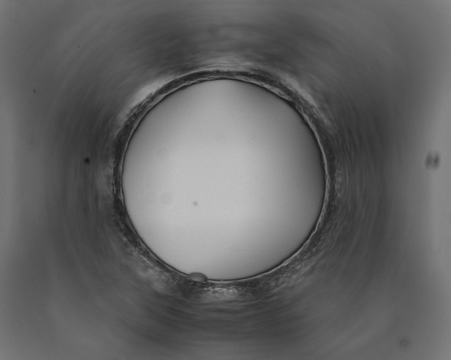 X0000090451315200708031208