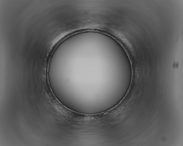 X0000090451316200708031208