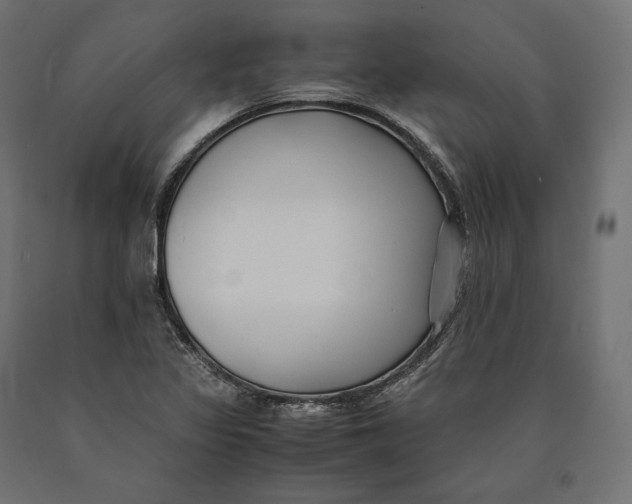 X0000090451317200708031208