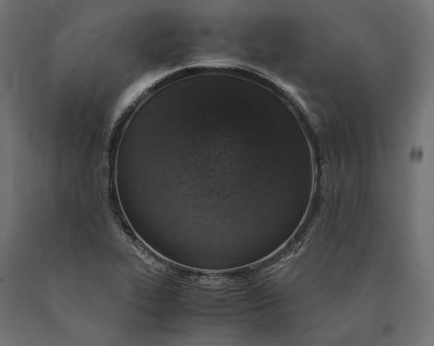 X0000090451319200708031208